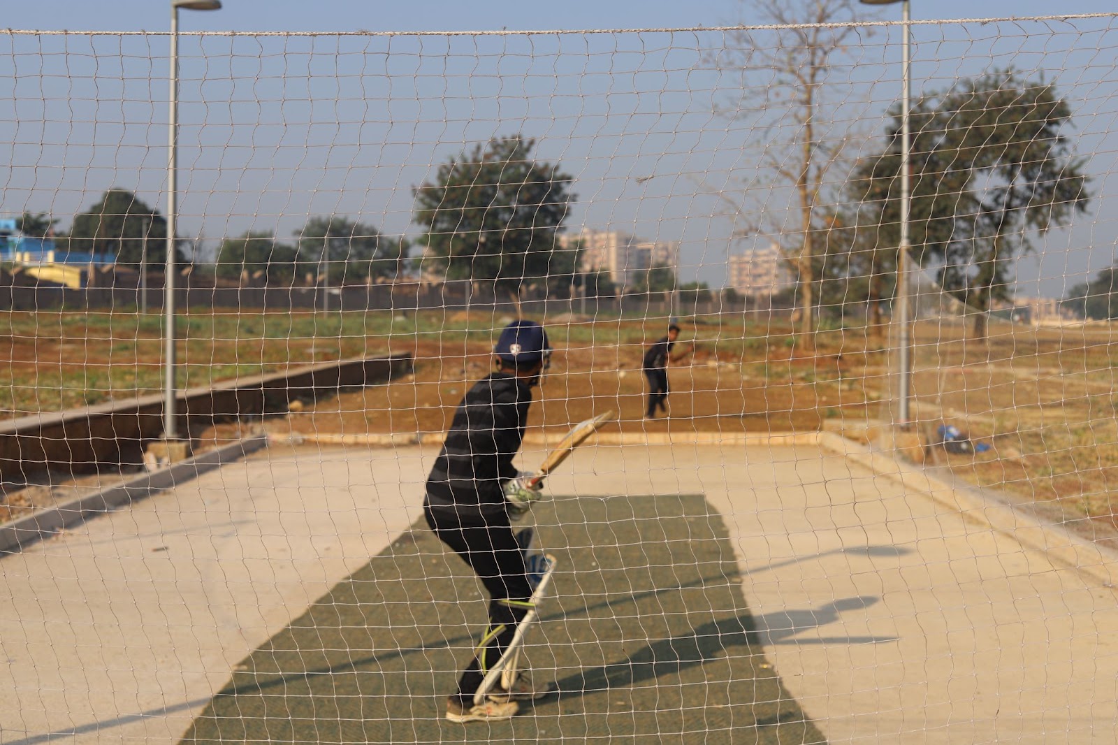 Cricket
